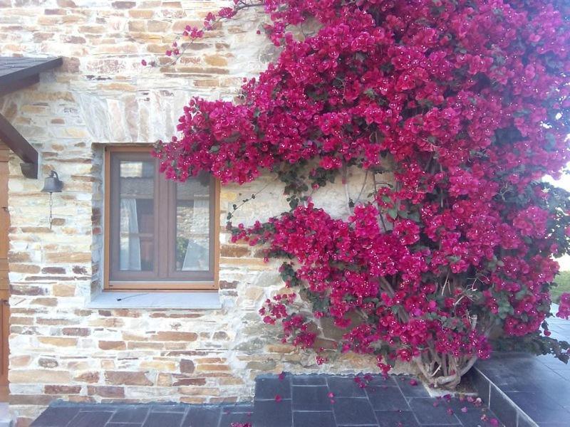 Casa Crisanta Villa Lomba Eksteriør bilde